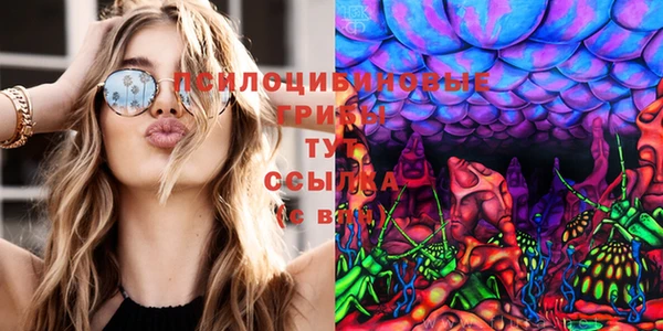 spice Богданович