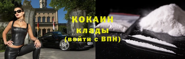 spice Богданович