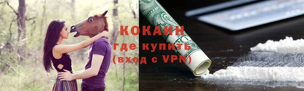 стафф Богородск