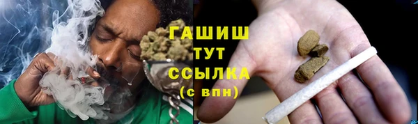 spice Богданович