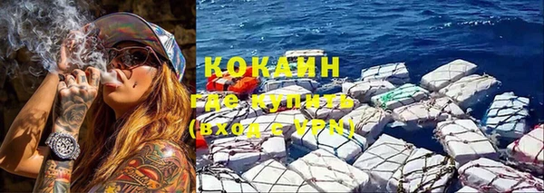 spice Богданович