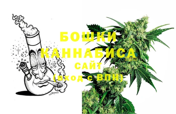 spice Богданович