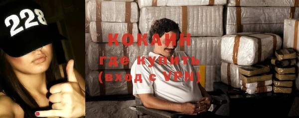 spice Богданович