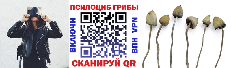 Купить  Слюдянка  Псилоцибиновые грибы GOLDEN TEACHER 